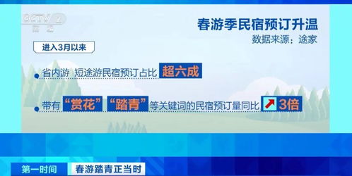春暖花開(kāi)時(shí)，三大潮流打卡新選擇 花海、民宿與山地戶(hù)外運(yùn)動(dòng)