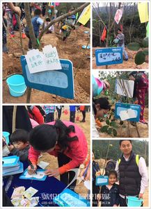 碧桂園植樹節(jié) 佩悅傳媒以專業(yè)公關策劃，賦能綠色品牌行動