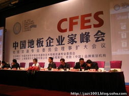 奇致品牌全程策劃，2011中國地板企業(yè)家峰會盛典圓滿落幕